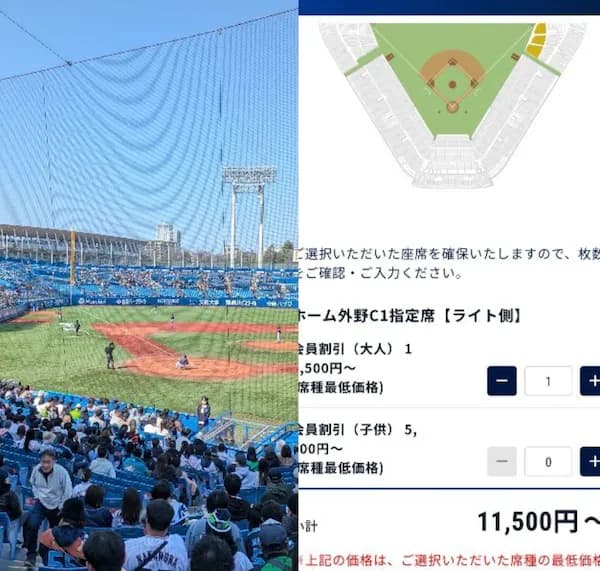 外野席でも1万円超...高額化が止まらないプロ野球チケット「ダイナミックプライシング」の功罪