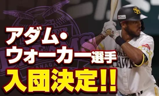 BC神奈川、元巨人・ホークスのアダム・ウォーカー選手の入団を発表！