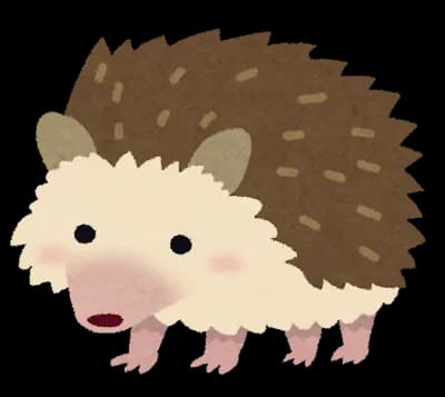 ハリネズミちゃん買ったけど嫌われすぎてﾜﾛﾀ