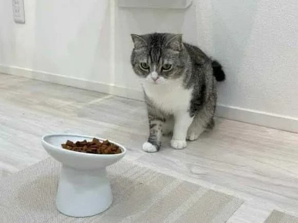 【悲報】もちまる日記、週刊誌に狙われだすｗｗｗｗｗｗｗｗｗ