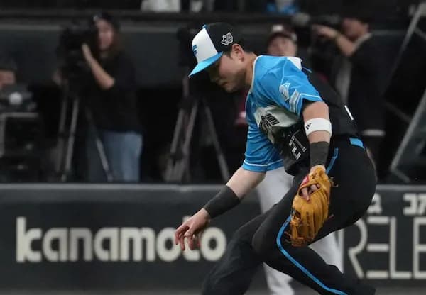 日本ハムファイターズ 22試合18失策