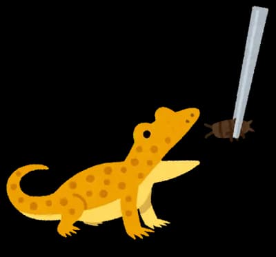 飼ってるトカゲの卵から赤ちゃん