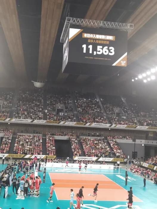 男子バレーさん、女子バレーの人気を上回ってしまう・・・