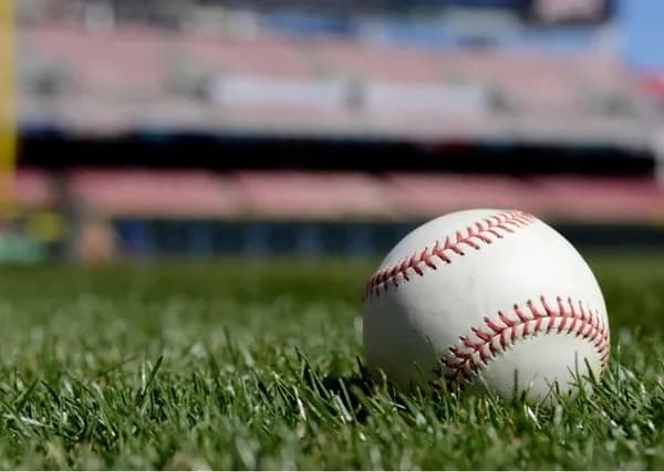 若手プロ野球選手のセカンドキャリア、やってみたい仕事は会社経営がトップ