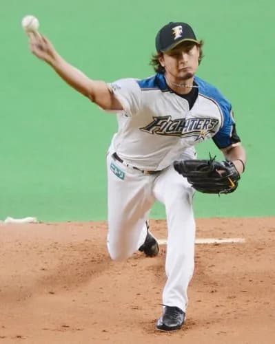 【決定版】NPB史上最強にかっこいいピッチングフォームｗｗｗｗｗｗ