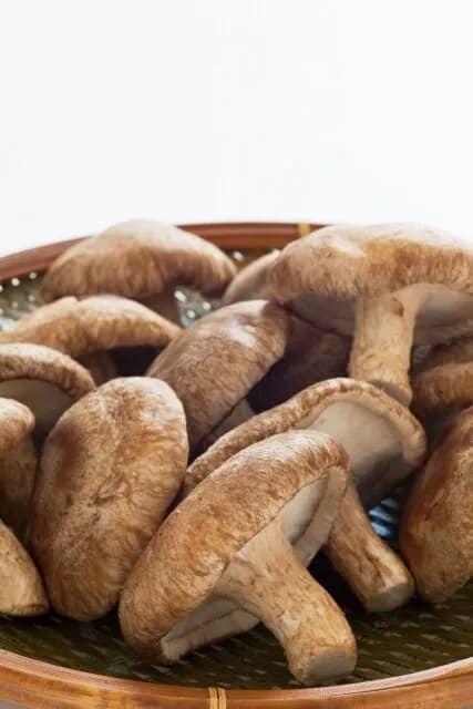 【悲報】美味くはないけど不味い食べ物ｗｗｗｗｗｗｗｗｗｗｗｗｗｗｗｗｗｗｗｗｗｗｗｗ