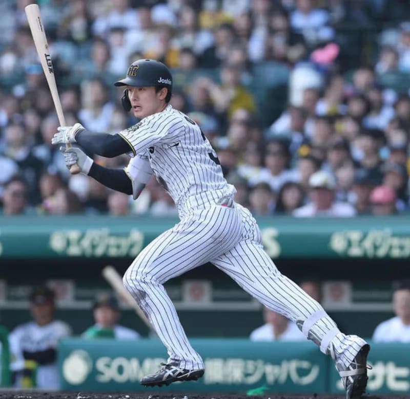 「球児がここまで小幡を我慢して使うとは思ってなかった」←期待していいってことだよな？w