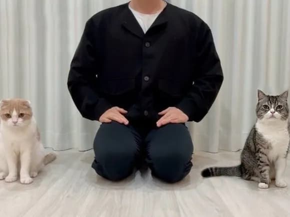 【悲報】もちまる日記さん、活動再開したのに登録者が激減…何が起きた？