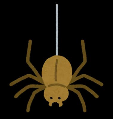 【画像】家帰ったらハエトリグモが倒れてた