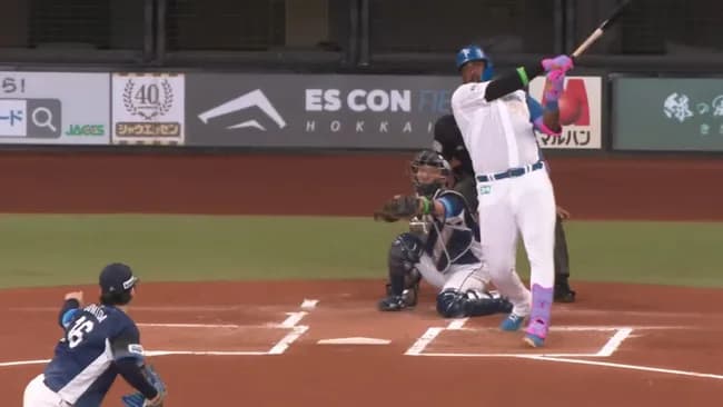 日ハムチーム本塁打数が12球団一位の30本