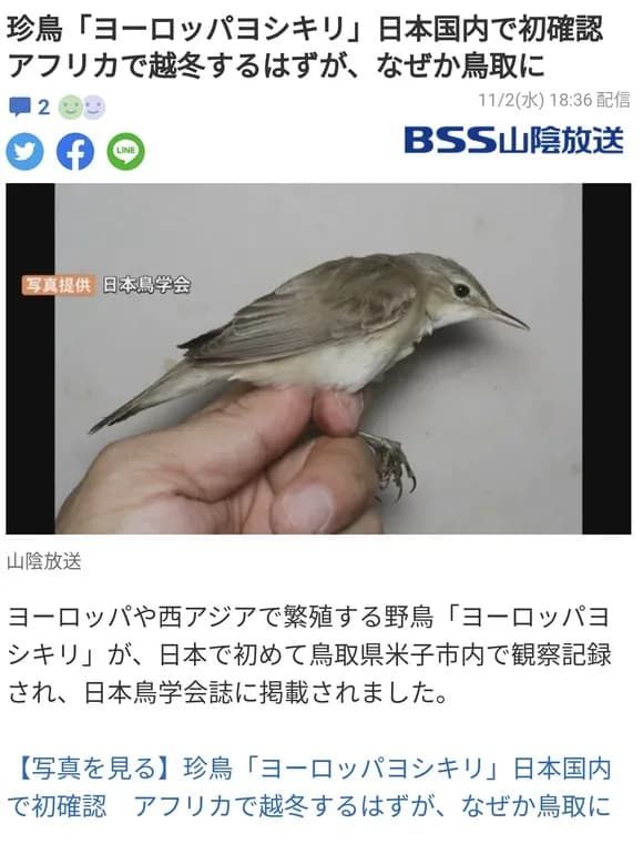 【画像】鳥さん「うーんアフリカはどっちかな？こっちかな？」