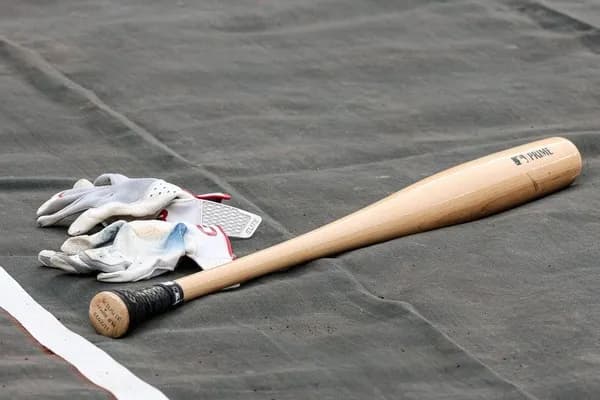 魚雷バット君、急に静かになる