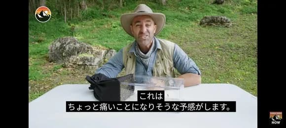 【悲報】外国人YouTuber、再生数欲しさにニホンスズメバチに刺されまくってしまう・・・