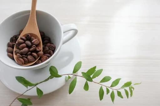 【悲報】コーヒーとか緑茶って抗酸化物質多くて健康に良いらしいけどカフェインは良くないよな？ｗｗｗｗｗｗｗｗｗｗｗｗｗｗｗｗ