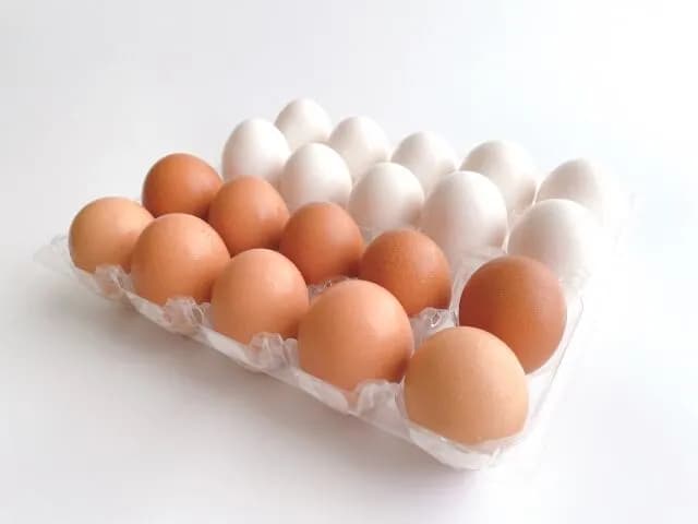 【緊急】賞味期限が7日までの卵20個を使い切る方法