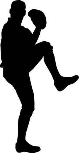 1番好きな投球フォームって誰？