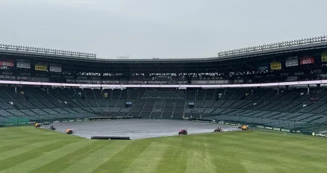 阪神－中日（甲子園）は雨天中止　阪神は村上、中日は高橋宏が先発予定も