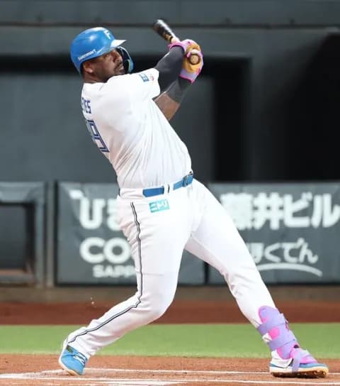 日本ハム・レイエスが先制の7号ソロ「自信を持って打席に入りました」