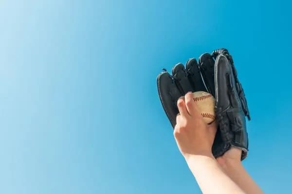 プロ野球選手って毎日野球しててよく飽きないよな