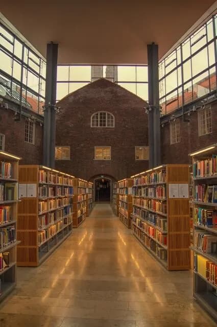 【悲報】国が法律で「博士号相当」と認めているもの一覧がこれｗｗｗｗｗ