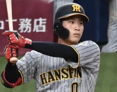 【悲報】今日の阪神-広島、遊撃手は木浪聖也でええんか？