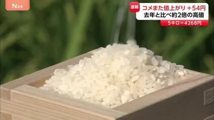 【悲報】農水省「すまんね、またコメの最高値更新したｗｗｗｗｗ」