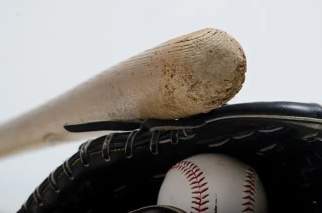 野球のバットボールグローブがいつまでも天然素材の理由