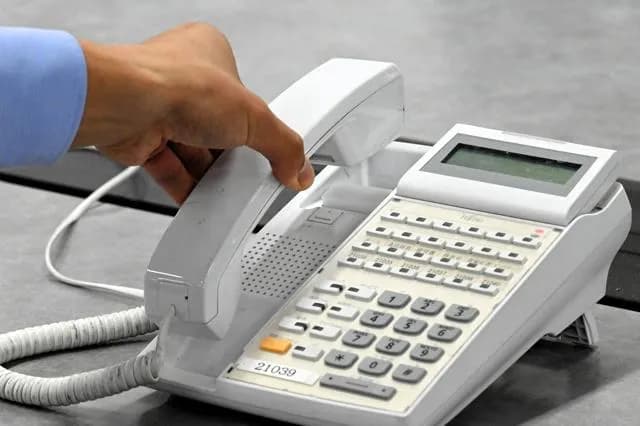 電話「プルルルルル」新入社員「ヒェ！電話が鳴ってるううううぅ！！」