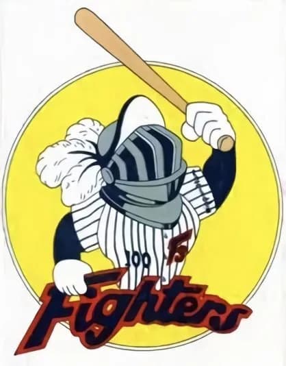 東京ドーム時代の日ハムの思い出