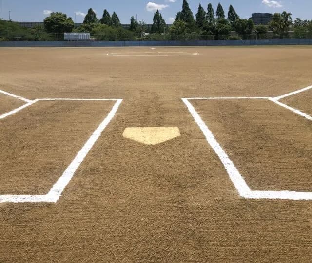 内野守備位置のルールないんだから全員バッターの目の前にいればよくね