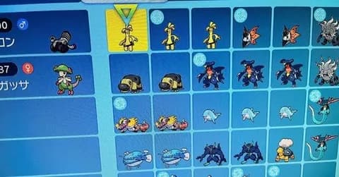ポケモン好きワイ、他のポケモン好きについていけない