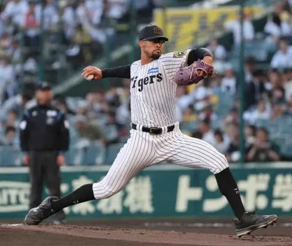 【阪神】デュプランティエが６回６安打９奪三振１失点好投　規定未到達も44奪三振はリーグ３位