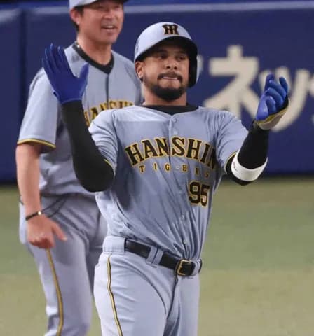 阪神ヘルナンデスが来日2安打目をマーク　9回に代打出場「結果になって良かった」