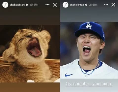 日本人投手、メジャーリーグ制圧完了