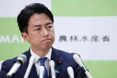 国民の6割「江藤を更迭して小泉進次郎大臣になってコメの価格下がりそうでよかった」