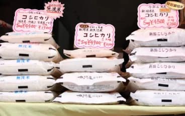 【悲報】農家「儲かってないです」JA「儲かってないです」卸売「・・・・・」