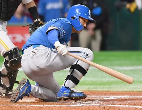 【日本ハム】石井一成のセーフティスクイズで貴重な追加点