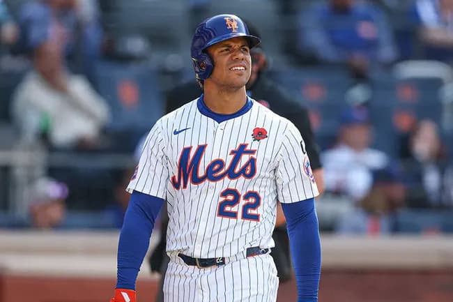 大谷超え1102億円契約も打率.228　不振のソトに米記者落胆「最悪の第一印象」