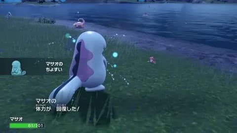 ちょすい(みずタイプの攻撃受けません逆に回復します)　←　コレ見たとき衝撃走ったよな