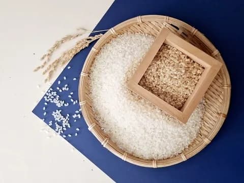 【正論】現役農家「備蓄米はすぐ尽きる。米の値段は下がらない」「農家を公務員にするしかない」