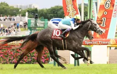 【疑問】武豊 39年連続重賞勝利、三浦皇成 G1126連敗←どっちが凄い？ｗｗｗｗｗ