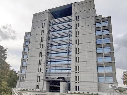 彡(^)(^)「おっ！通販サイトで格安でコメ売ってるやんけ！」→商品届かず50万円騙し取られる