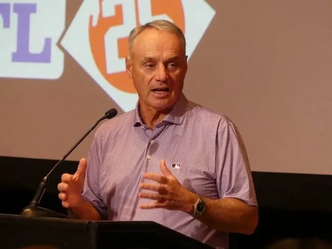 【MLB】来季から“ロボット審判”正式導入へ「各球団非常に前向き」とコミッショナー