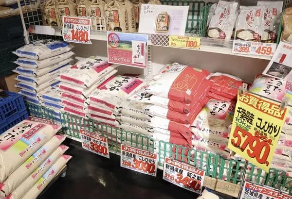 【悲報】コメ高騰の原因なんだったか忘れた奴ｗｗｗｗｗｗｗｗｗｗｗｗｗ