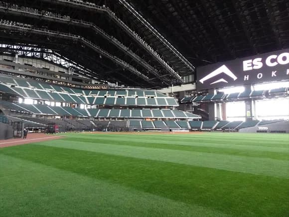 【悲報】日ハム、エスコンをわざとサッカーができない作りにしていた・・・・・・