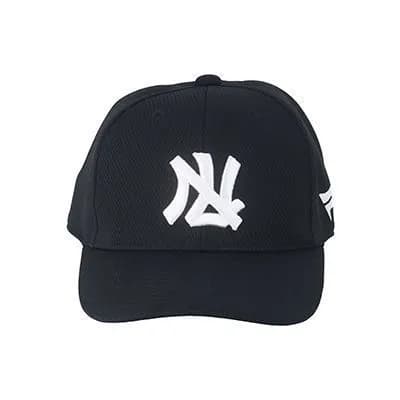 3大こんな球団あったな「西鉄ライオンズ」