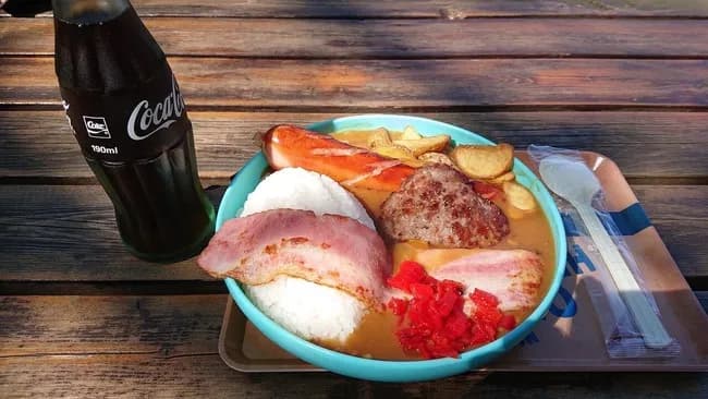 【画像】アメリカで＄10で食えるカレーライスｗｗｗｗｗｗｗｗ