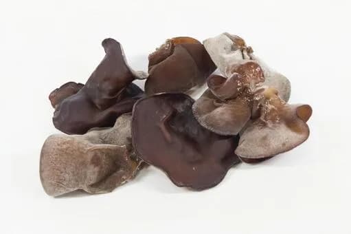 【悲報】3大原料不明な食べ物「きくらげ」「からし」「きなこ」