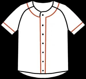 プロ野球ファンって大体みんなユニフォーム持ってるけどさ