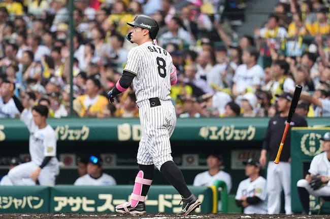 佐藤輝明(神).284 17本 45点 OPS.953